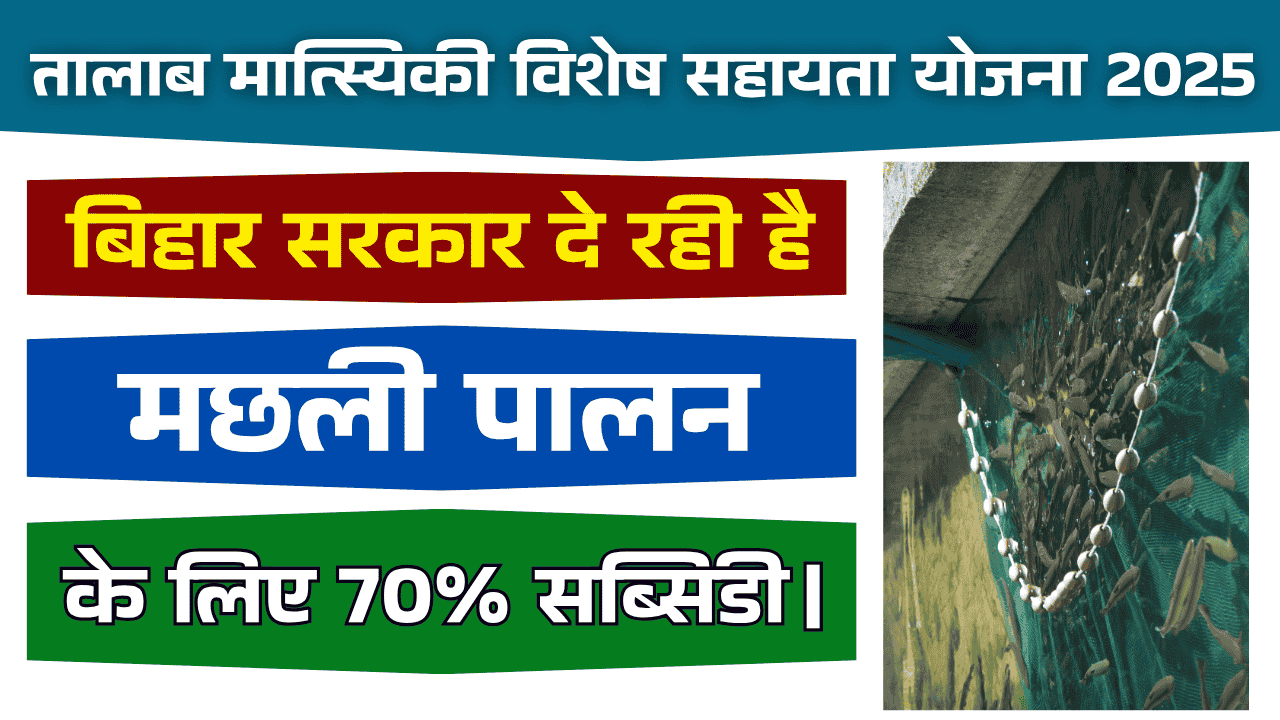 Bihar Talab Matsyaki Special Assistance Scheme 2025-26 बिहार में मछली पालन के लिए 70% अनुदान प्राप्त करें bihar matsya palan yojana, matsya palan subsidy in bihar, matsya palan bihar sarkar, matsya palan loan yojana