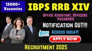 IBPS RRB Office Assistant & Officers Recruitment 2025 – Apply Online for 13217 Posts