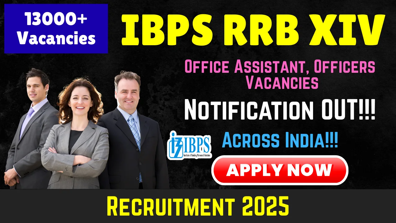 IBPS RRB Recruitment 2025 - Apply Online for 13217 Office Assistant & Officers Vacancies IBPS RRB Office Assistant Recruitment 2025